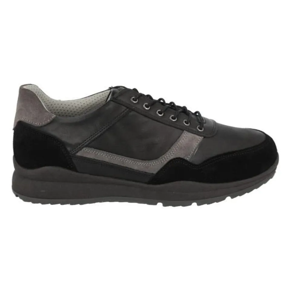 Men's Wide Fit DB Benedict Trainers