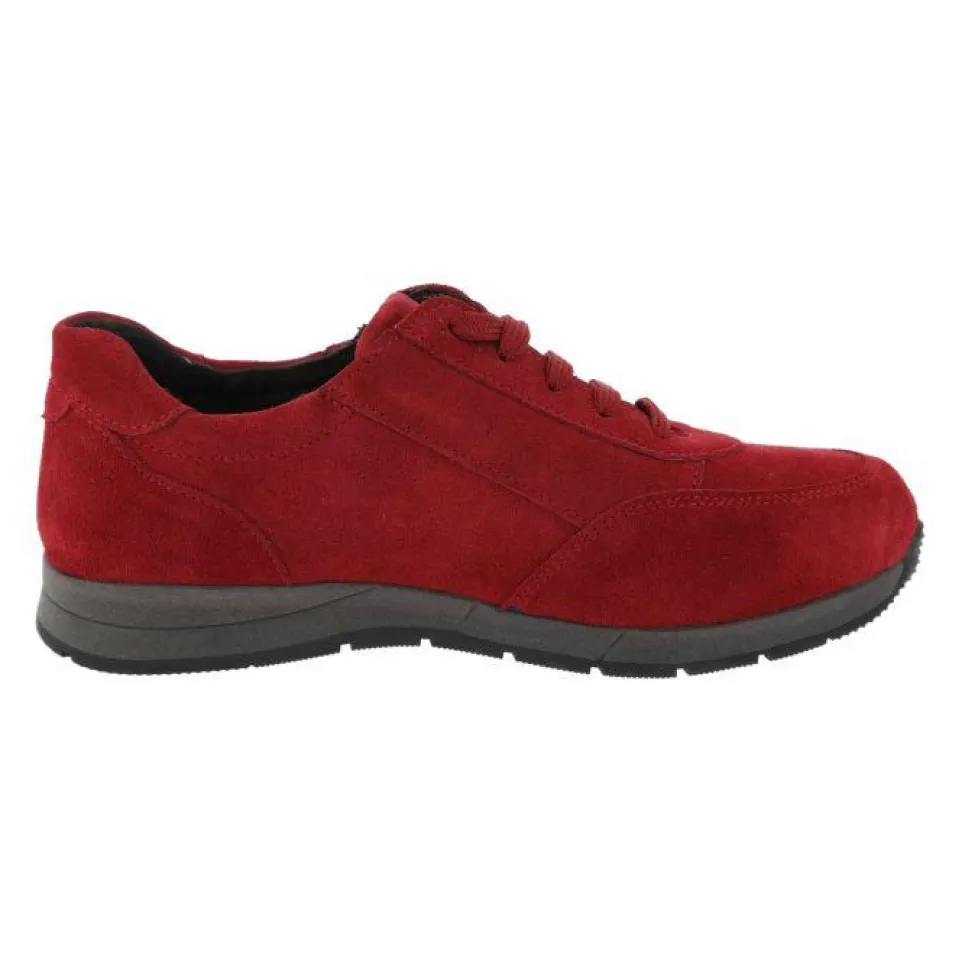 Women's Wide Fit DB Harrier Trainers