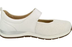 Womens Wide Fit DB Hawaii Canvas Shoes