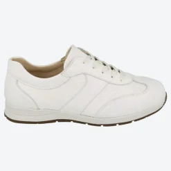 Womens Wide Fit DB Linton Canvas